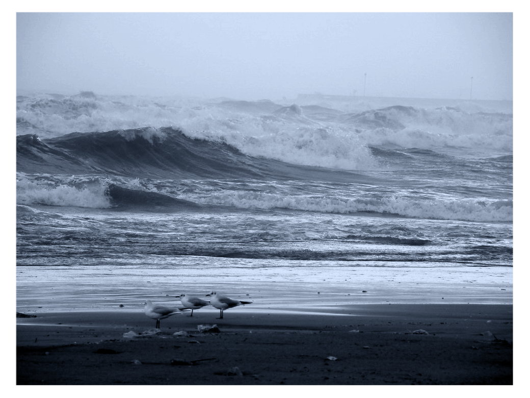 Il mare in autunno